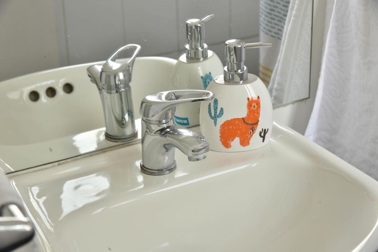 Andino Bed&Breakfast Santiago del Cile Esterno foto