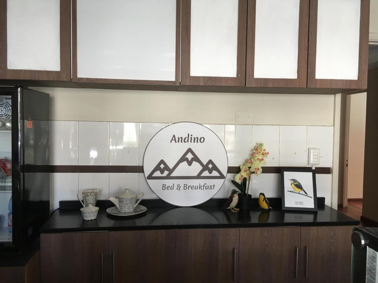 Andino Bed&Breakfast Santiago del Cile Esterno foto
